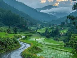 Ziro Valley Escape