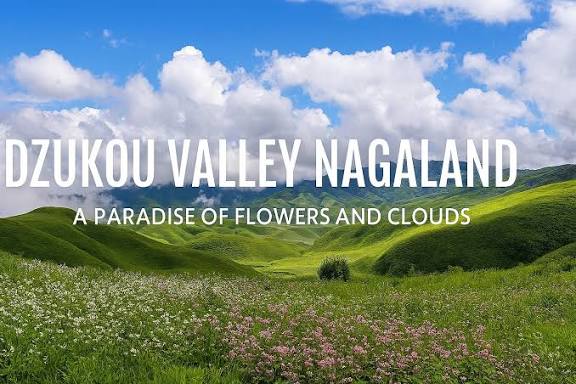 Dzukou Valley Escape For Trekkers