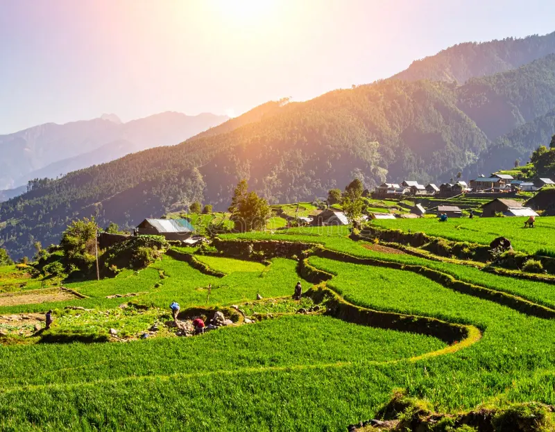 Bir Billing Honeymoon